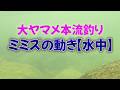 大ヤマメ本流釣り 【水中】ミミズの動き