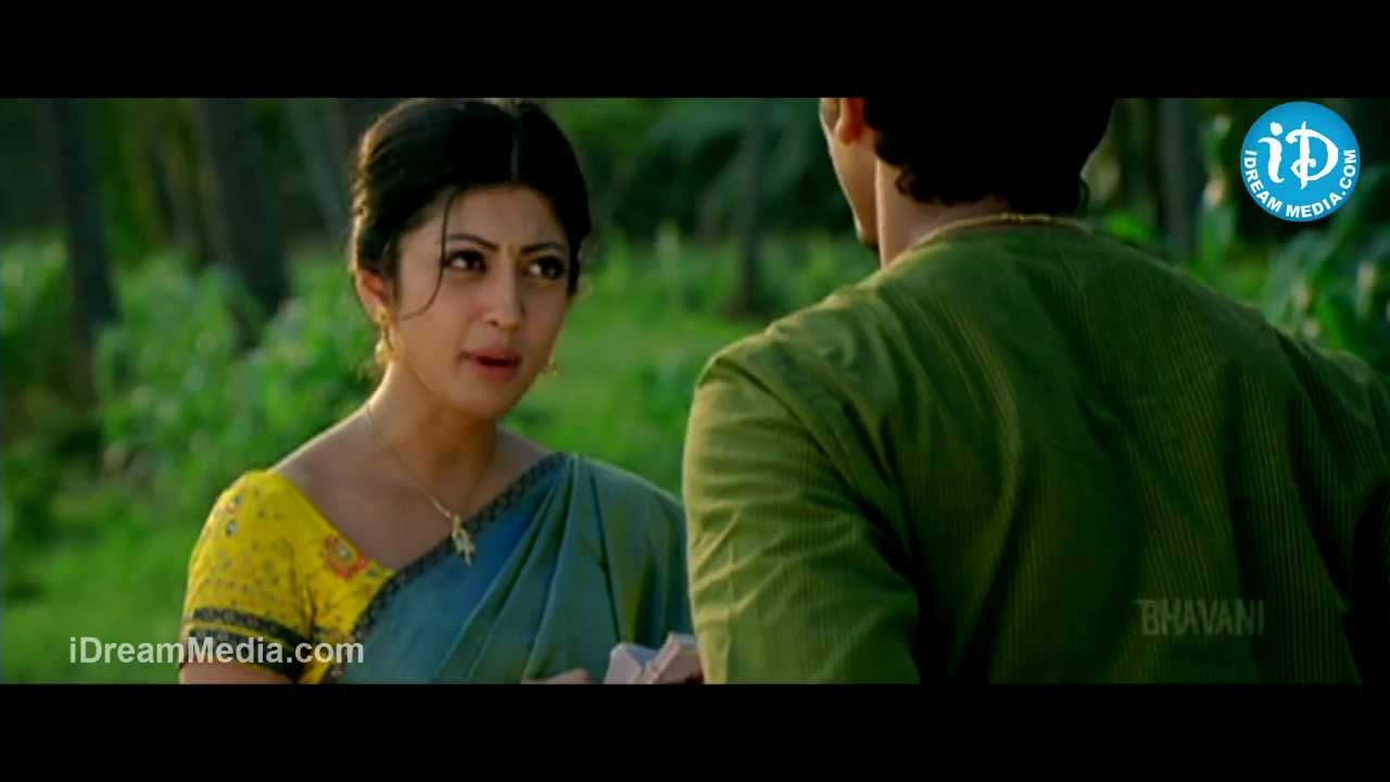 Baava Movie - Rajendraprasad, Pranitha, Siddarth Nice Comedy Scene