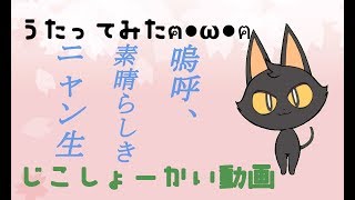 「【自己紹介】嗚呼、素晴らしきニャン生 一匹で歌ってみた - メル【新人Vtuber】」のサムネイル