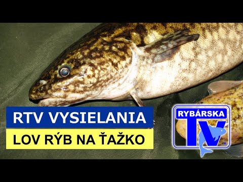 Video: Ako Udržať Narodenie Rýb