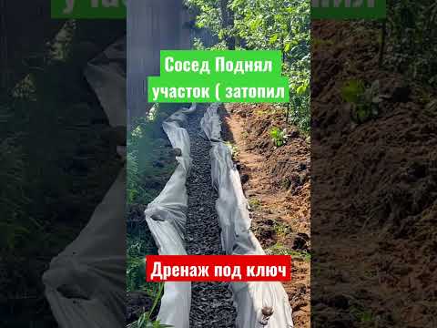 Видео: Кто сосед по благоустройству дома?