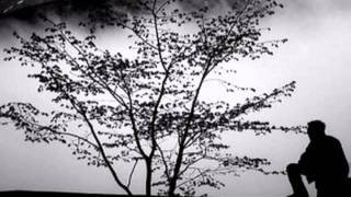KİMİ YAKACAKSAN YAK_SEZER.wmv