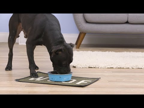 Video: Di mana makanan anjing holistik dibuat?