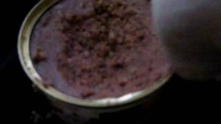 Angel starting to eat can puppy food by angelpaws6 137 views 13 years ago 1 minute, 22 seconds