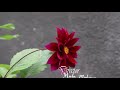Officiall Video MUNGU ATETE PAULO ZAKAYO New Songs