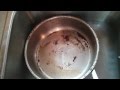 How to clean stainless steel Pans