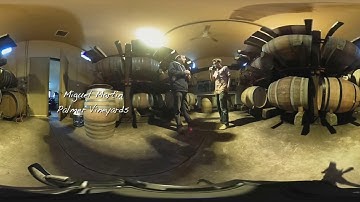 Palmer Vineyards Virtual Reality