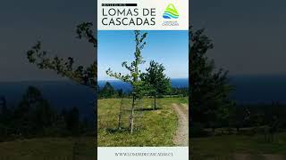 Parcelas en Venta | Siente el Sur de Chile