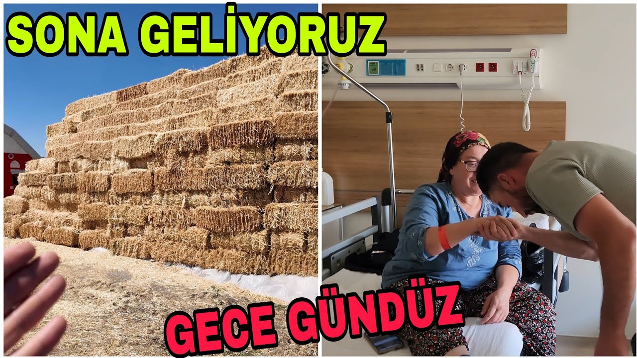 GECE VE GÜNDÜZ KARIŞTI.ABİ SEN NERDEN GELDİN BE.ANNEM HASTANEYE YATIŞ YAPTİ