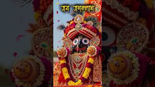 #jagannath #jagannathtemple #temple #jagannathpuri 🙏🙏🙏