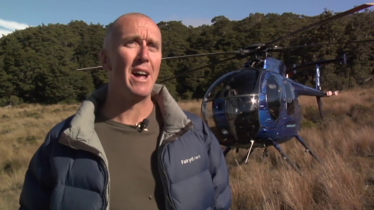 new zealand currency Meet the Locals: Deer recovery