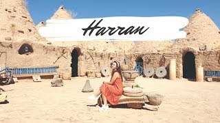 Mini Harran Vlog (Urfa)