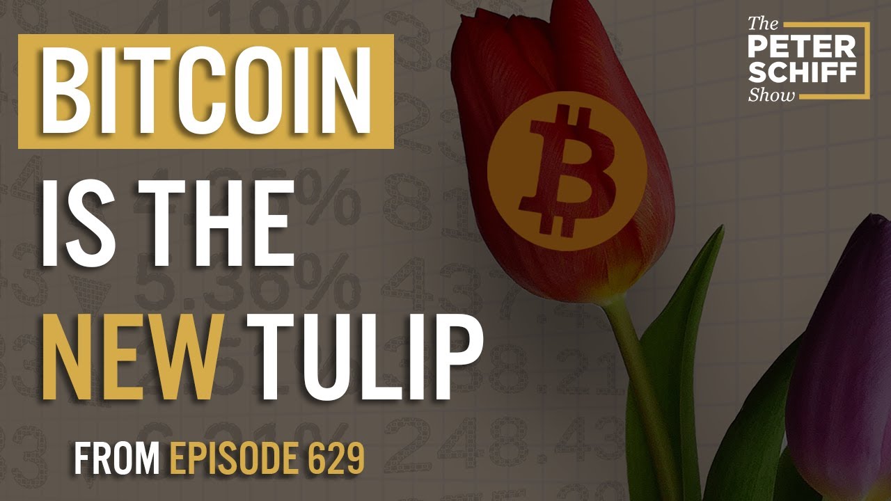 Schiff Continues Bitcoin Bubble Warning as Price Falls Below $100K