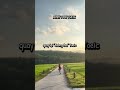 Quay lại cs bình thường. Đi làm - đi học Toeic 🤣 #xinhtuoitoeic #toeicquavideo #toeic2026