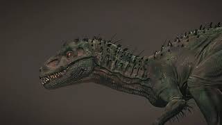Animation Irex 1