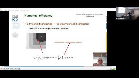 Flapping Wing Coupled Dynamics in Lie Group Setting