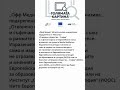 Жп специалистът Михаил Рангелов в подкаста на OFFNews