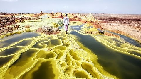 Teaching With New York Times Photos, Videos and Graphics | Webinar