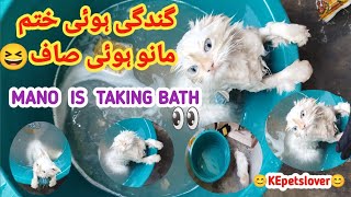 Mano Is Taking Bath |cute cat |@kepetslover8315 by KE Pets lover 50 views 12 days ago 9 minutes, 4 seconds
