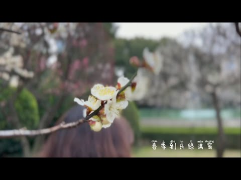 林宝 LIN BAO 沪语歌曲《四季歌》春季版