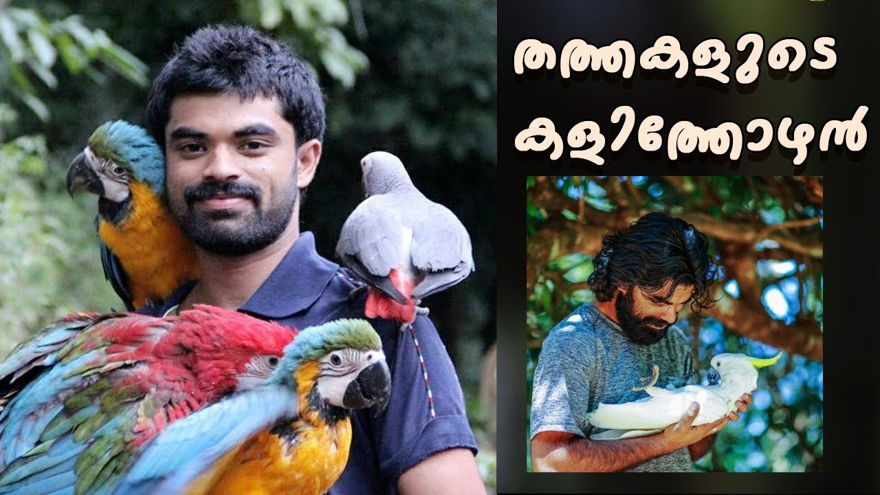 camera iphone 8 plus apk Rejoicing with birds and Renjith /പഞ്ചവർണ്ണതത്തകളുടെ കളിത്തോഴൻ/ Panchavarnathatha