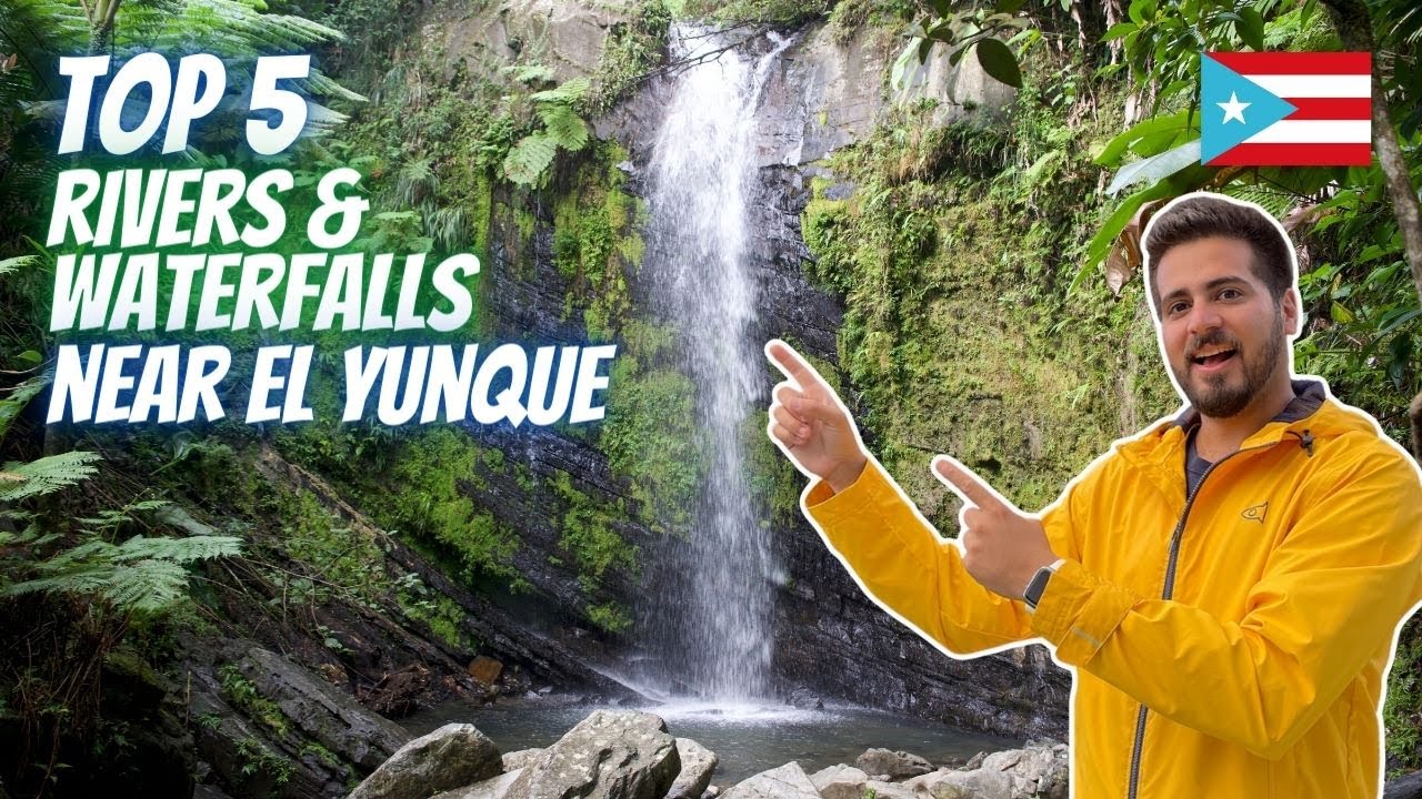 Top 5 Rivers & Waterfalls Near El Yunque Rainforest Puerto Rico YouTube
