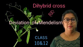 Dihybrid cross and Deviation of Mendelism for class 10 & 12