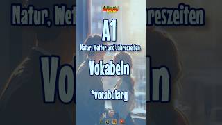 🇩🇪 Vokabel lernen (A1) #DeutschLernen #germanvocabulary