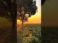 وقتی آفلاینم           