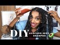DIY Avocado Seed Shampoo | For Frizzy and Dry Hair