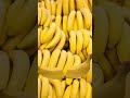 2022年11月8日バナナ#viralvideo#trending#fruits