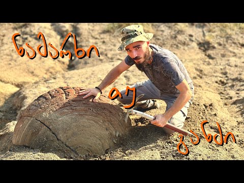 რა იმალება უდაბნოში ნაპოვნ უძველეს ლოდებში ? წარღვნის ფაქტი !