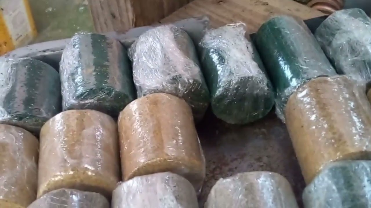 Olha essa prensa de fazer pastilha para pescar carpa cabeçuda essa prensa foi eu que fiz .