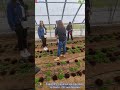 Ivlp2025 Initiative Agricole Dans Le Désert DFI Univ Nevada Agriculture Sunumbay Fhi360 Ivlp2025 Initiative Agricole Dans Le Désert DFI Univ Nevada Agriculture Sunumbay Fhi360