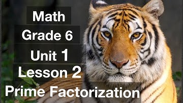 Math - grade 6 - Unit 1 - Lesson 2 - prime numbers -  Prime Factorization شرح ماث 6 ابتدائي-المعاصر