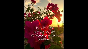 سورة المؤمنون ....ياسر الدوسري