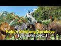 Kebun Binatang Surabaya Zoo : Aneka satwa di KBS Surabaya