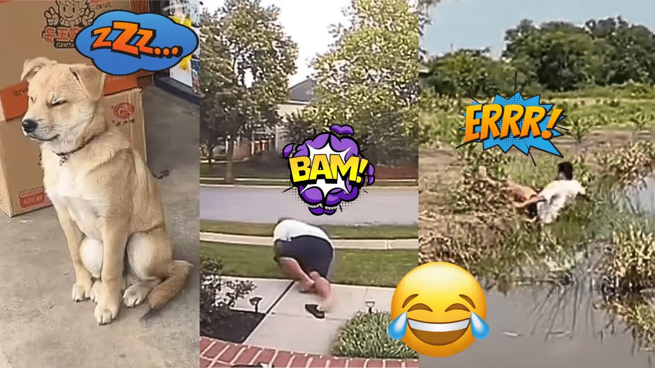 TENTE NÃO RIR IMPOSSÍVEL 🤣 - OS MELHORES memes e VÍDEOS ENGRAÇADOS 2025 