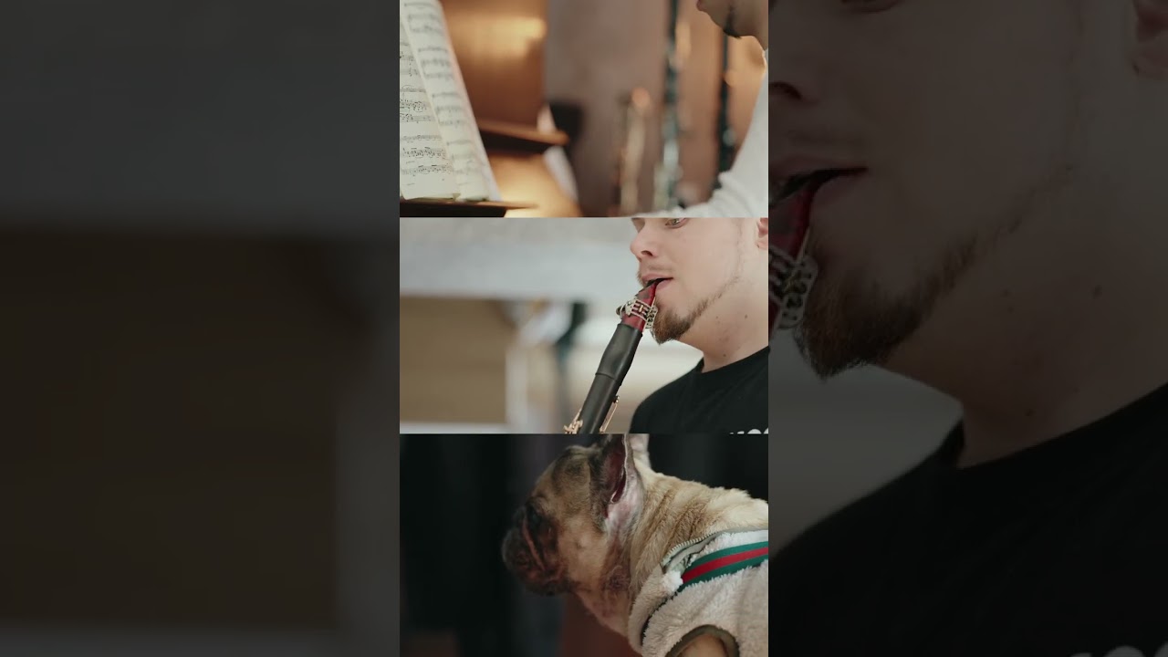 Come to valentine concert