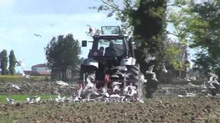Ii Tractorum In Campo - Sdf - Lamborghini R6 Silver 110 Ripper Moreni Air Disc Rossetto