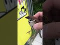 【奇跡すぎる】＃shorts 【こんな事ある！？】