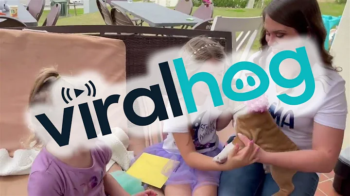 9-Year-Old Daughter's Birthday Surprise || ViralHog