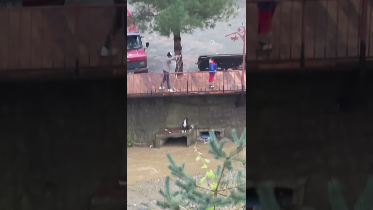 GİRESUN Yağlıdere ÜÇTEPE - Köpek Kurtarma #giresun #haytap