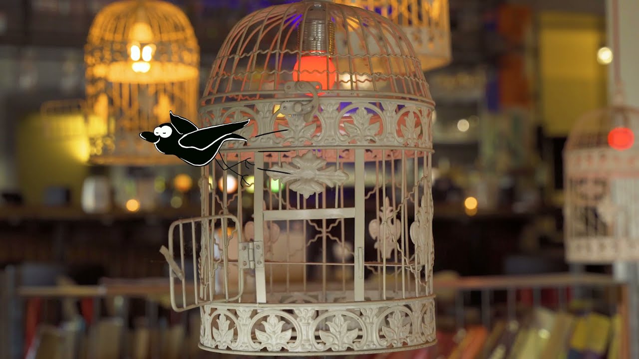 Hotel Credible | Go Out And Play