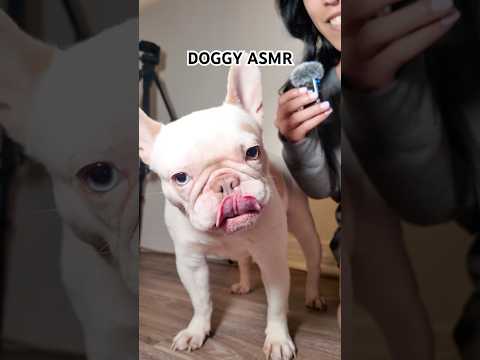 これを彼女のチャンネルにした方がいいかな？😂 #asmr #eatingasmr