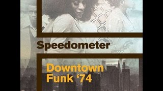 Speedometer - African Bushfire