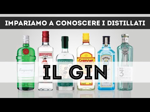 Video: Da cosa è fatto il gin?