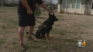 Victory Service Dogs Helps Disabled Veterans