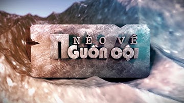 [PTL Nẻo về nguồn cội] Lịch sử Việt Nam qua những con tem