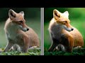 色々とブチギレ粉砕ライブ